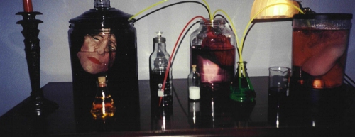 A woman's head and body parts kept alive in a portable lab